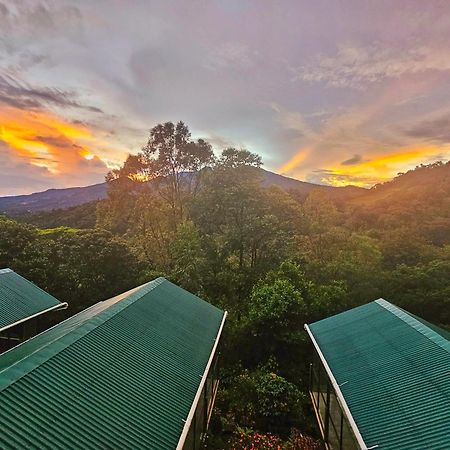 Eco Horqueta Bed & Breakfast Boquete Bagian luar foto