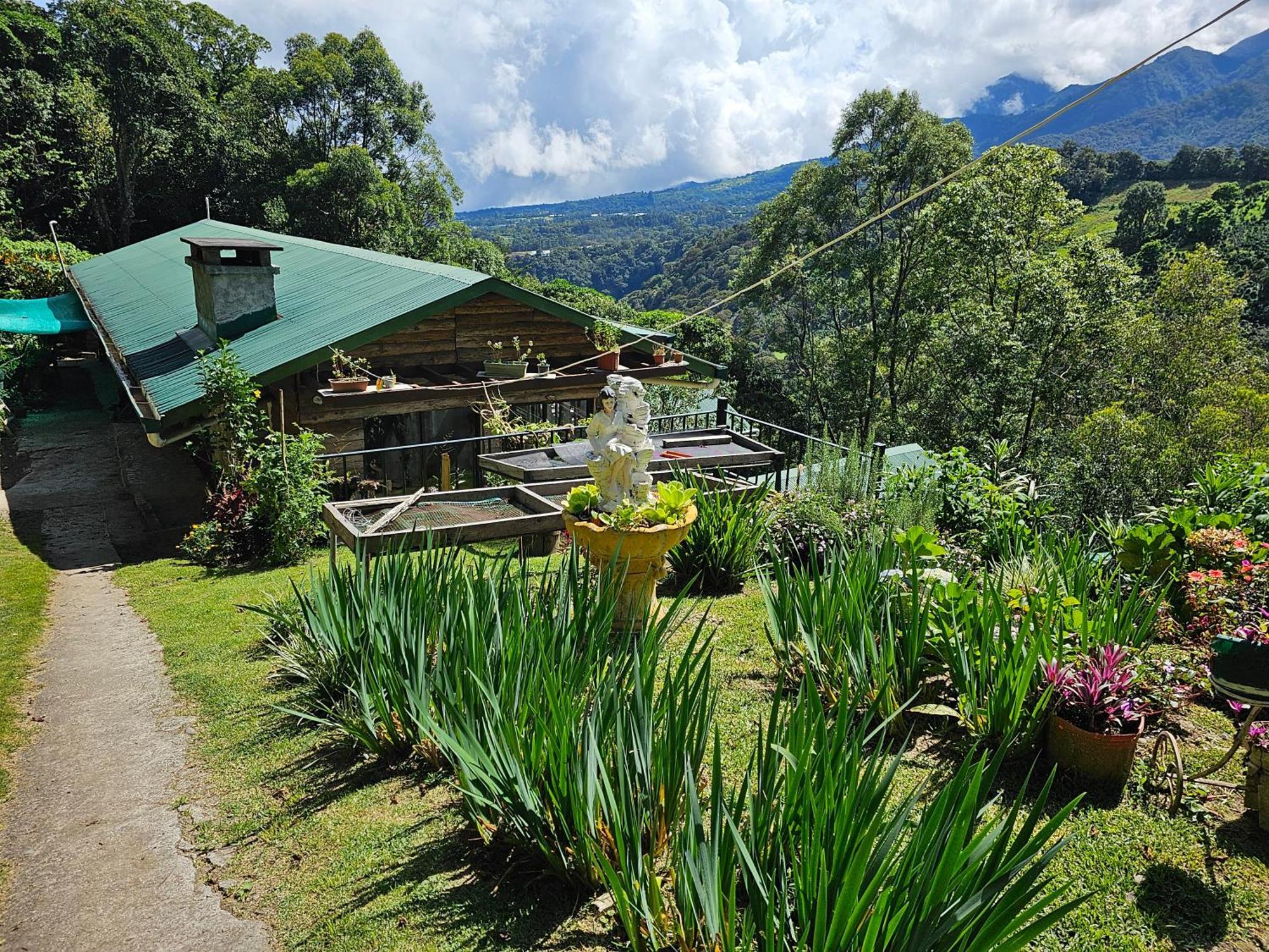 Eco Horqueta Bed & Breakfast Boquete Bagian luar foto