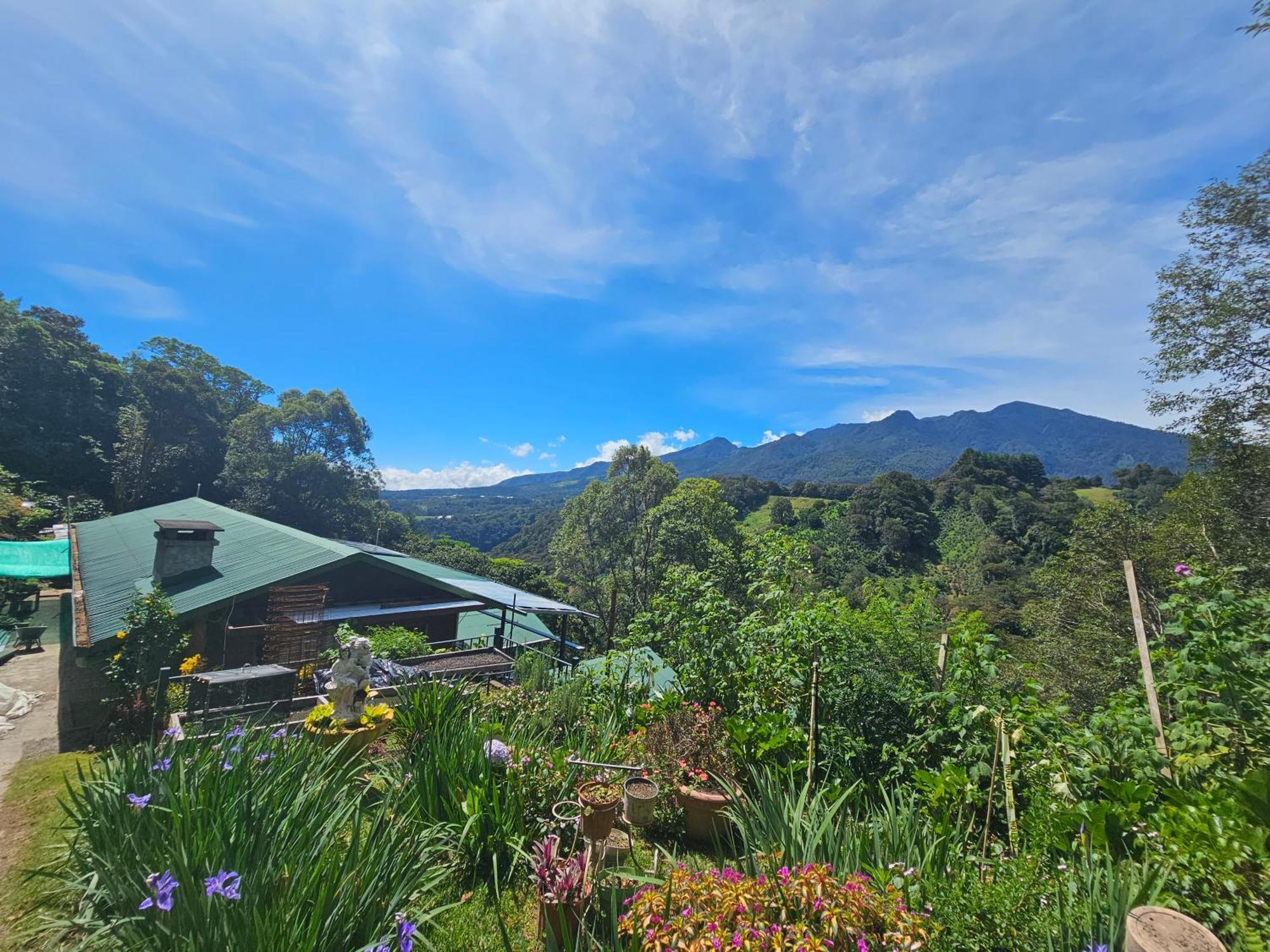 Eco Horqueta Bed & Breakfast Boquete Bagian luar foto