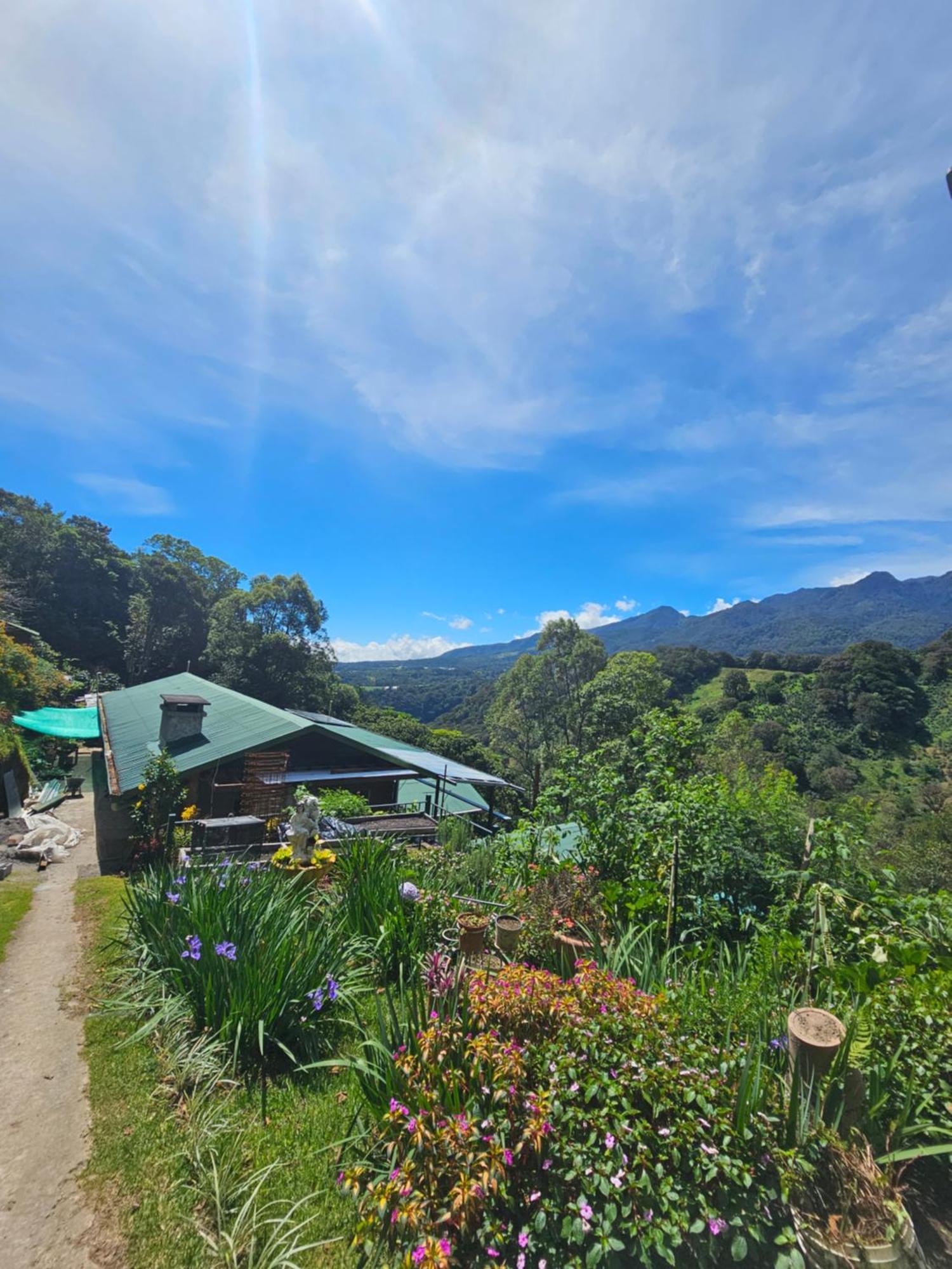 Eco Horqueta Bed & Breakfast Boquete Bagian luar foto