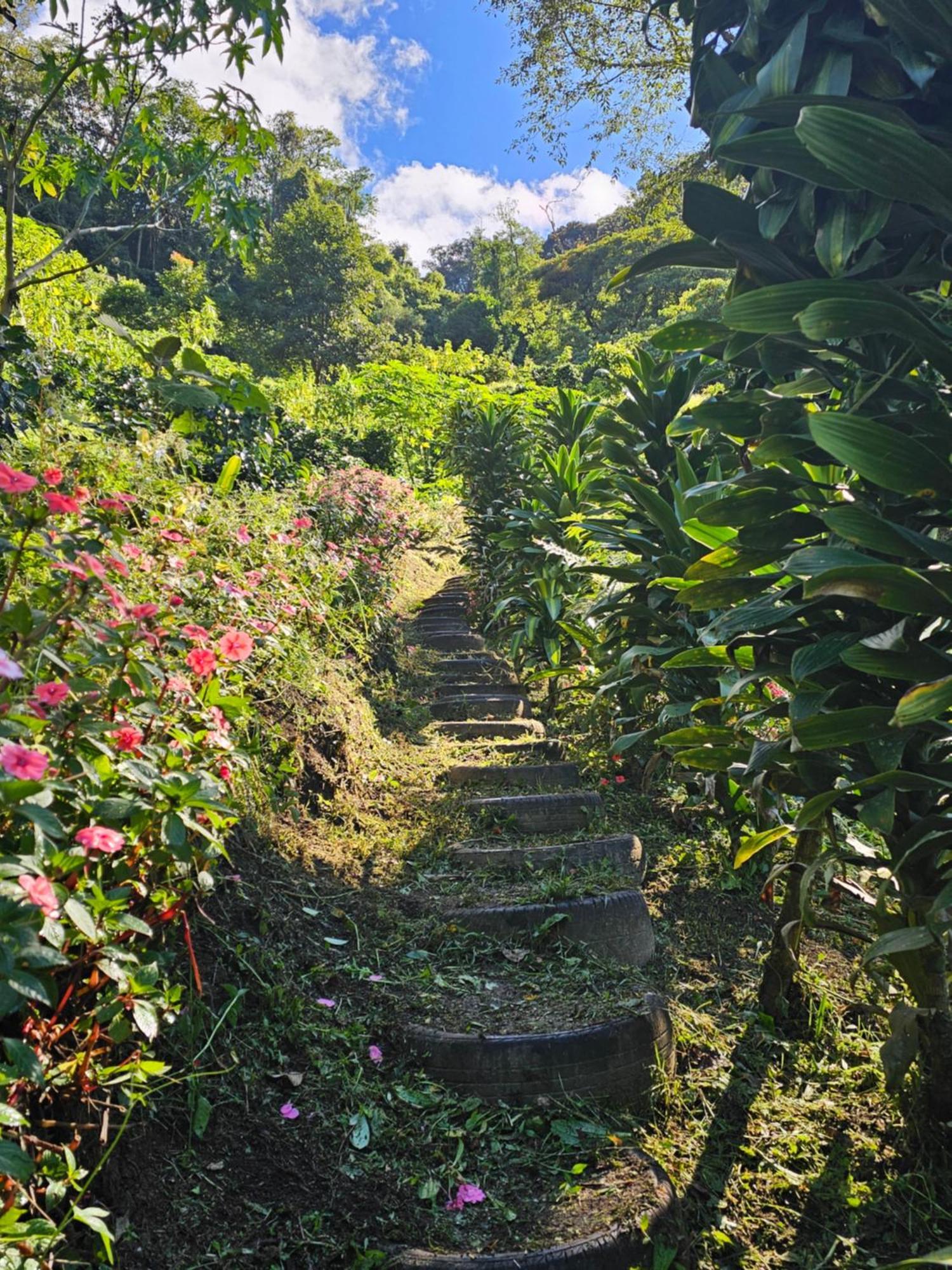 Eco Horqueta Bed & Breakfast Boquete Bagian luar foto