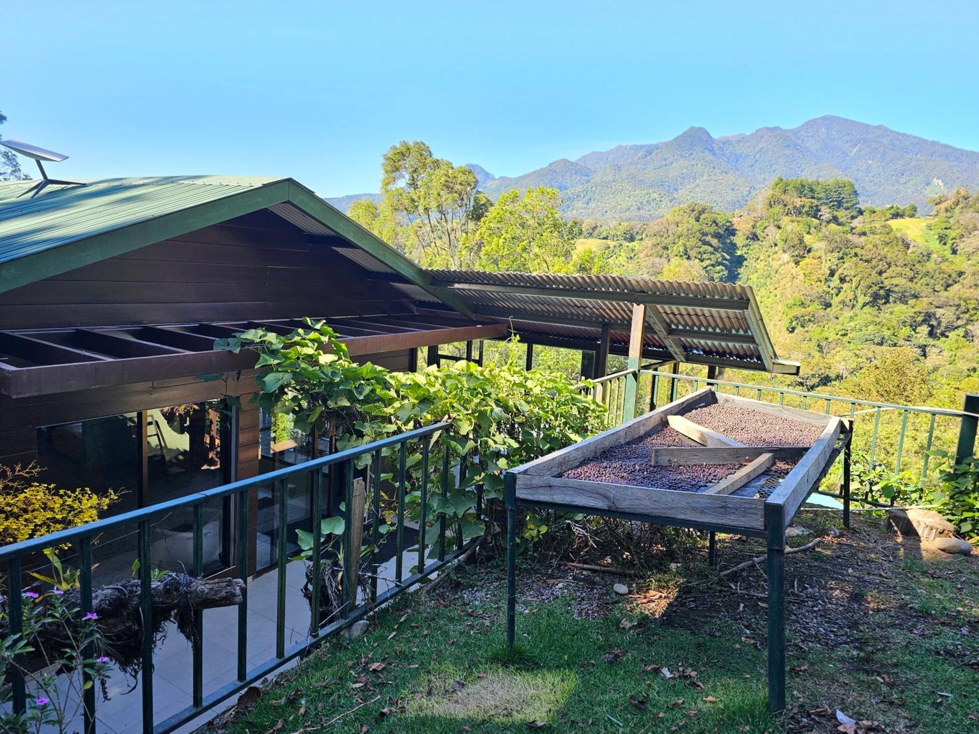 Eco Horqueta Bed & Breakfast Boquete Bagian luar foto
