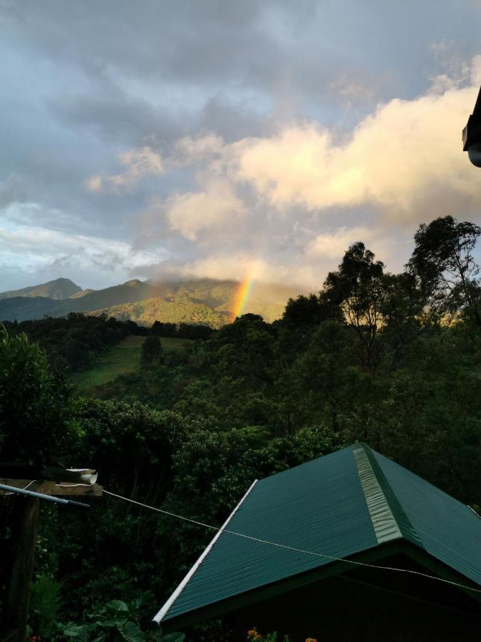 Eco Horqueta Bed & Breakfast Boquete Ruang foto